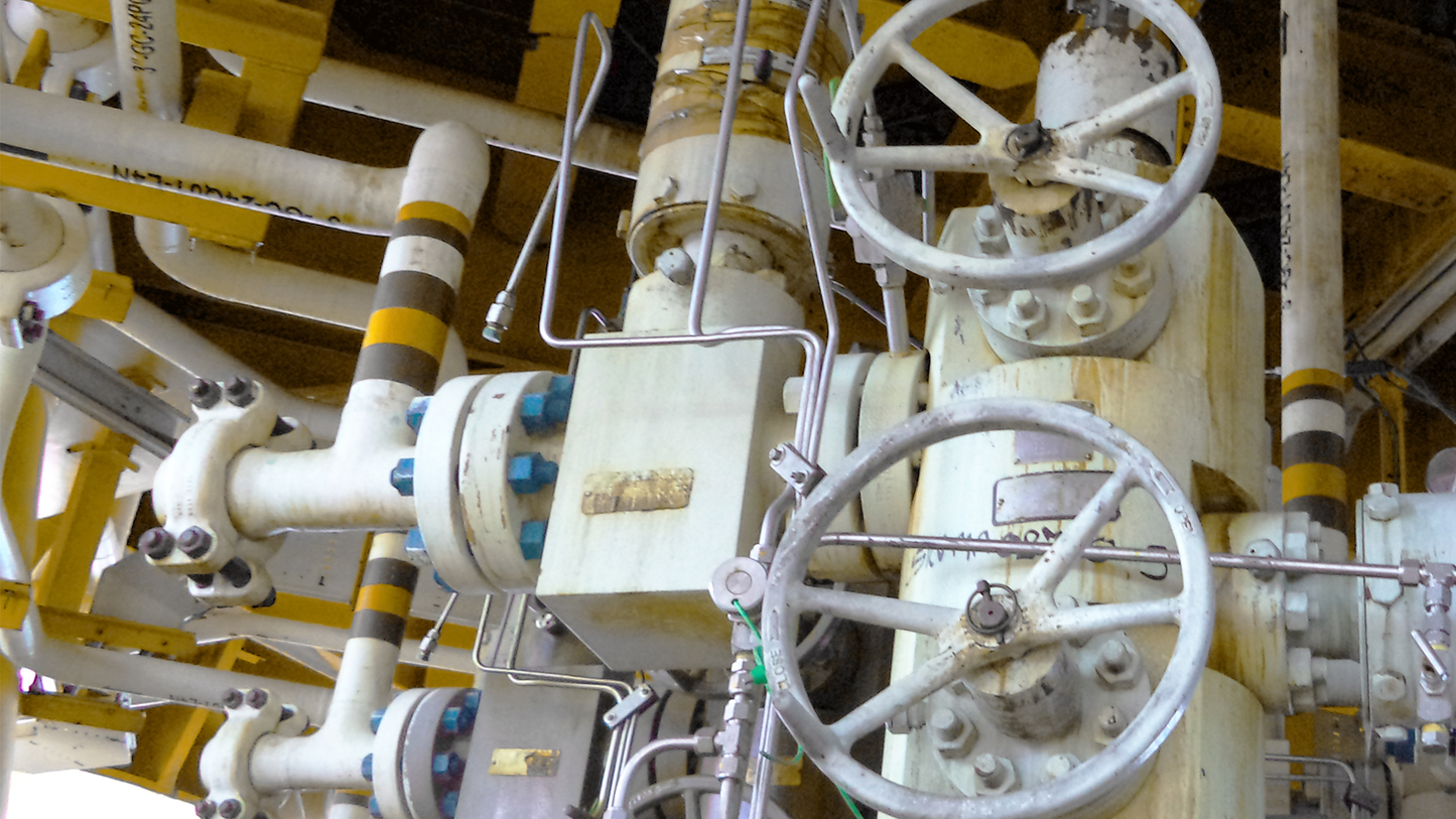 Introduction to Well Integrity