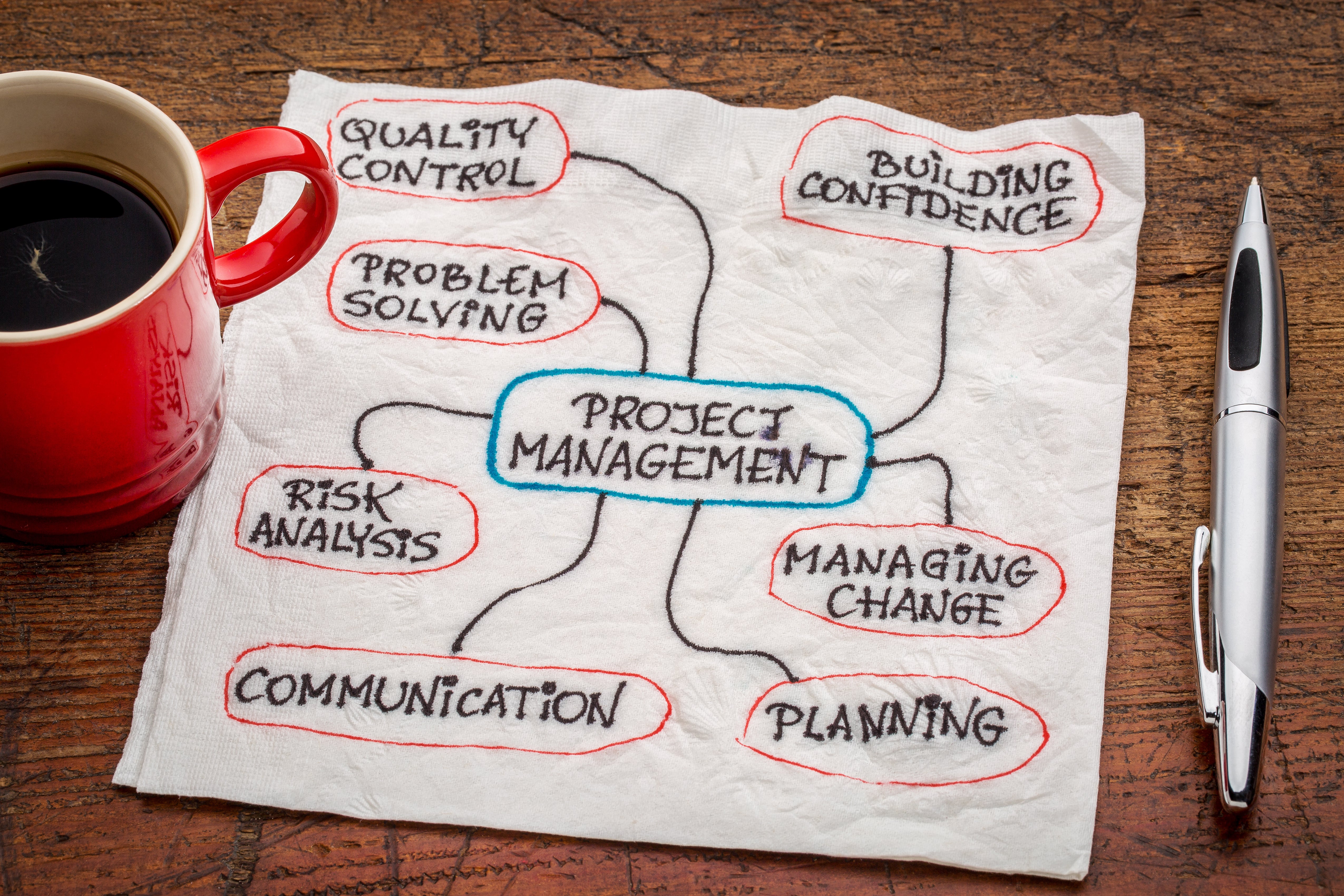 Change Management for Project Managers – 3t Digital Store