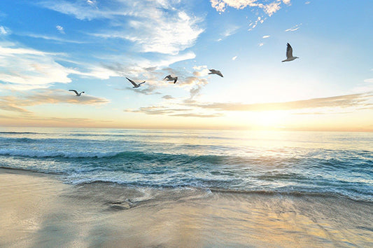 Environmental Awareness