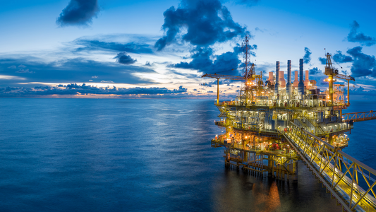 Introduction to Environmental Management